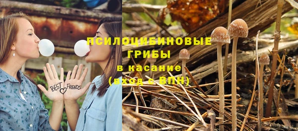 2c-b Абдулино