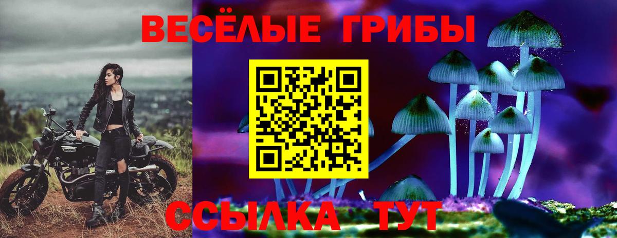 Псилоцибиновые грибы прущие грибы  Вход с VPN  Нягань  Галлюциногенные грибы MAGIC MUSHROOMS 